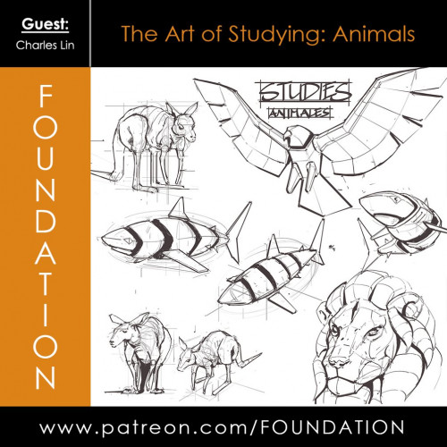 Foundation Patreon - The Art of Studying: Animals with Charles Lin