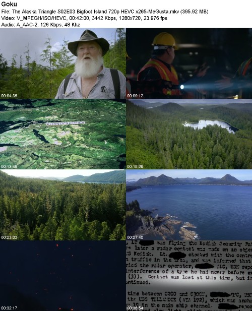 The Alaska Triangle S02E03 Bigfoot Island 720p HEVC x265-MeGusta