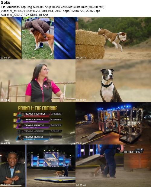 Americas Top Dog S03E06 720p HEVC x265-MeGusta