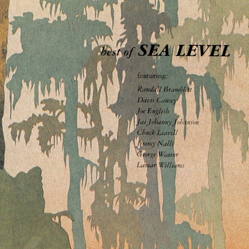 Sea Level - Best Of Sea Level (1990)