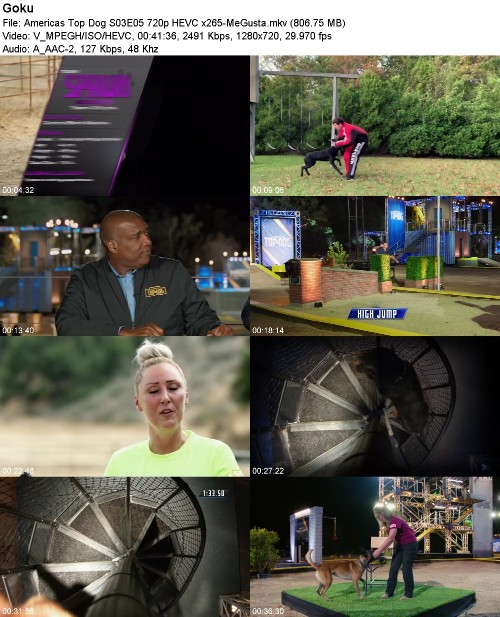 Americas Top Dog S03E05 720p HEVC x265-MeGusta