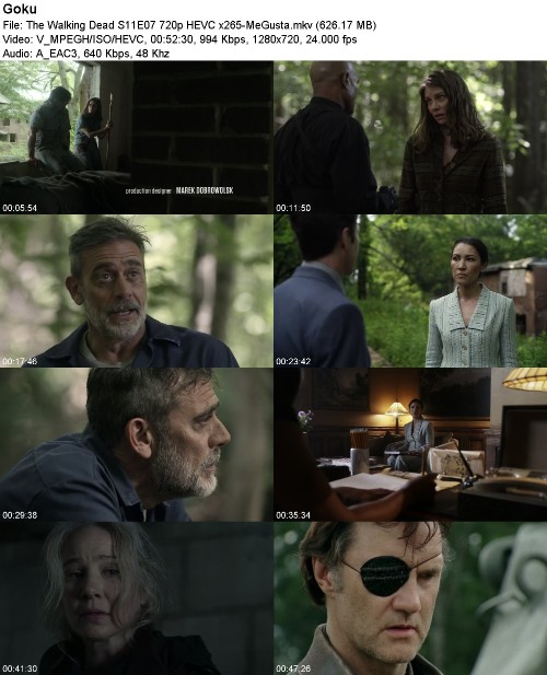 The Walking Dead S11E07 720p HEVC x265-MeGusta