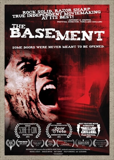 The Basement (2011) 1080p WEBRip x265-RARBG