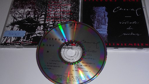 Isildurs Bane-Cheval-Volonte De Rocher-CD-FLAC-1989-mwnd