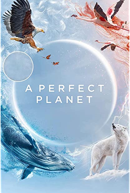 A Perfect Planet S01 480p x264-ZMNT