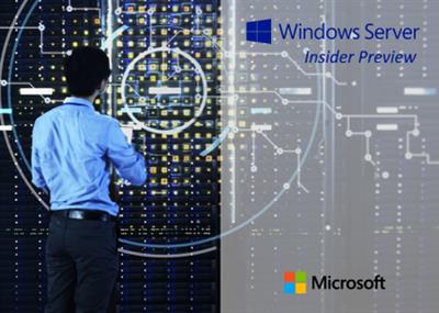Windows Server vNext LTSC Build 22463.1000 (x64) Insider Preview