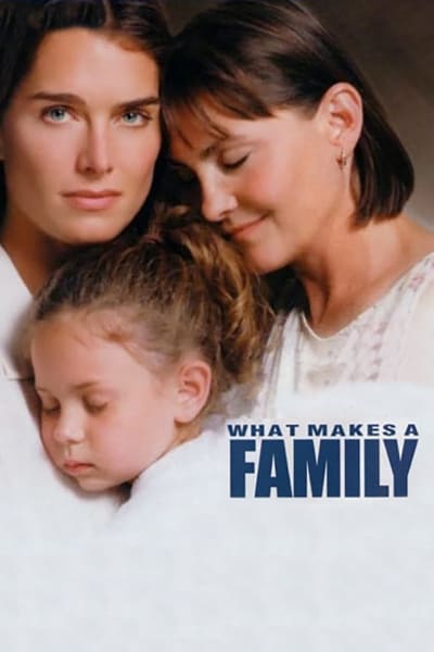 What Makes a Family 2001 1080p WEBRip x264-RARBG