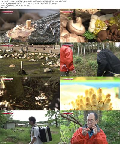 Japanology Plus S03E43 Mushrooms 1080p HEVC x265 