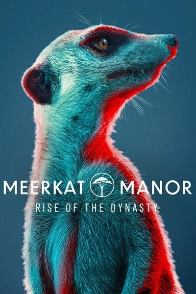 Meerkat Manor Rise of the Dynasty S01E10 1080p HEVC x265 