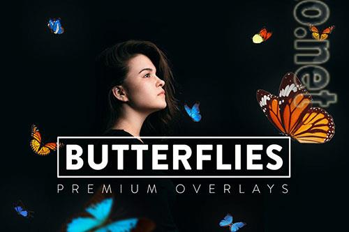 30 Butterflies Overlay