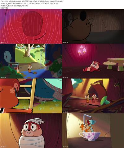 Chip n Dale Park Life S01E09 720p HEVC x265 