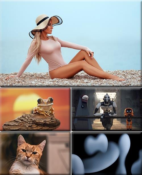 LIFEstyle News MiXture Images. Wallpapers Part (1843)