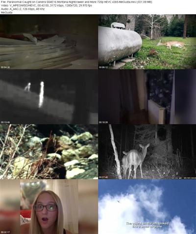 Paranormal Caught on Camera S04E16 Montana Nightcrawler and More 720p HEVC x265 