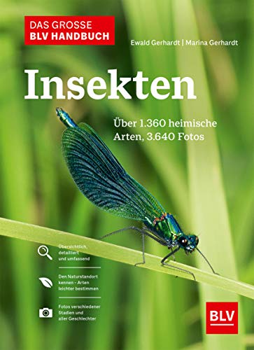 Das große BLV Handbuch Insekten: Über 1360 heimische Arten, 3640 Fotos