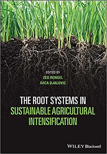 The Root Systems in Sustainable Agricultural Intensification