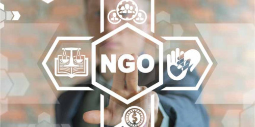 Introduction to NGO Management