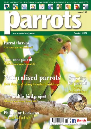 Parrots   October 2021