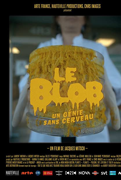 The Blob - A Genius without a Brain (1280x720p HD, 50fps, soft Eng subs)