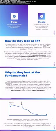 Macro FX - Fundamentals Mastery Training