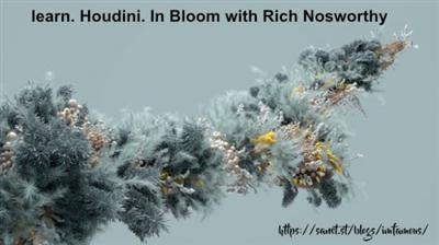 helloluxx   learn. Houdini. In Bloom with Rich Nosworthy