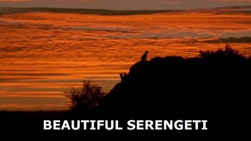 PBS - Beautiful Serengeti (2017)