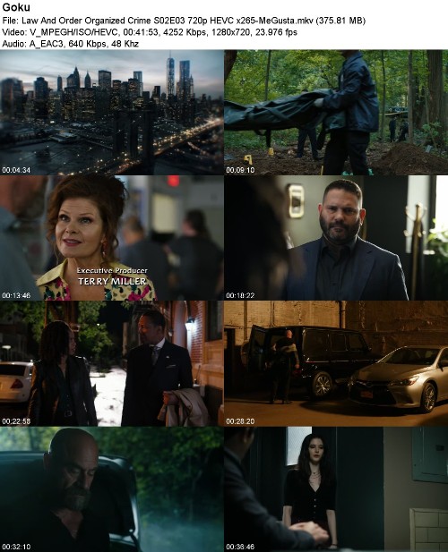 Law And Order Organized Crime S02E03 720p HEVC x265-MeGusta