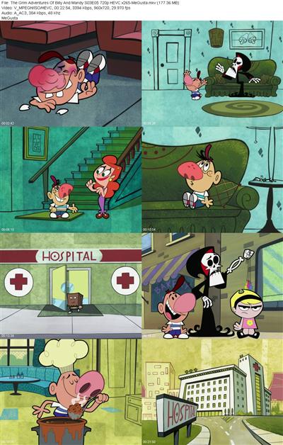 The Grim Adventures Of Billy And Mandy S03E05 720p HEVC x265 