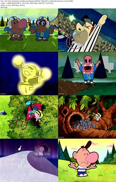 The Grim Adventures of Billy And Mandy S05E05 720p HEVC x265 