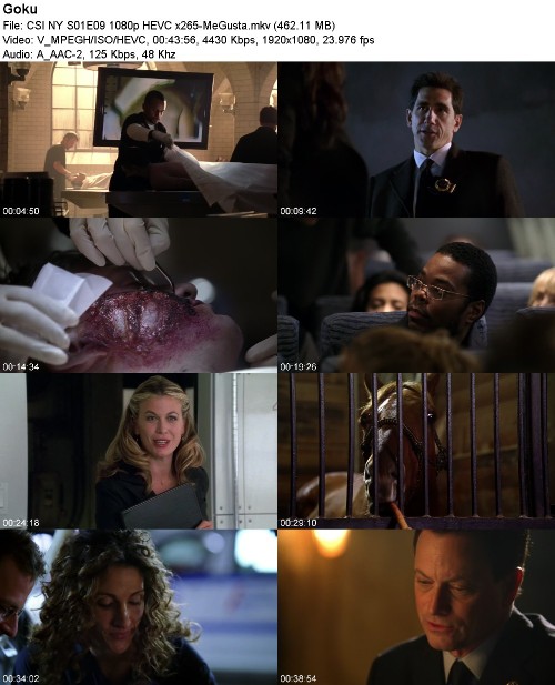 CSI NY S01E09 1080p HEVC x265-MeGusta CSI NY S01E09 1080p HEVC x265-MeGusta