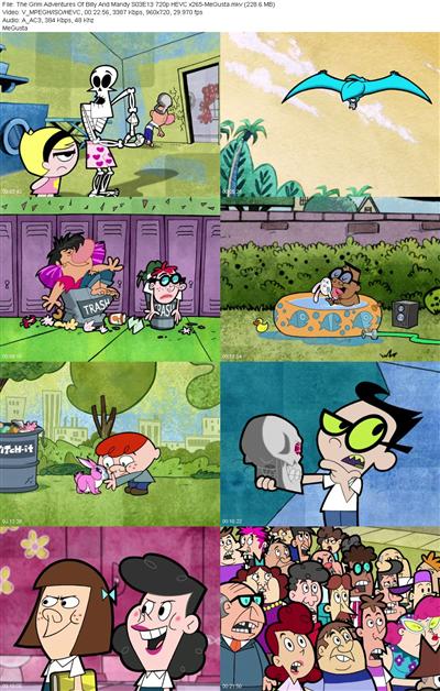 The Grim Adventures Of Billy And Mandy S03E13 720p HEVC x265 