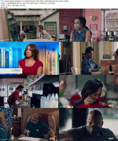 Queen Sugar S06E04 To A Different Day 720p HEVC x265 