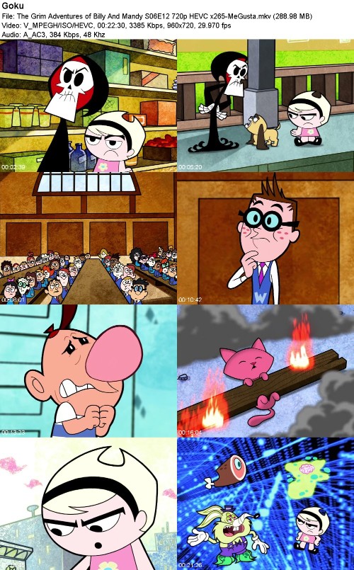 The Grim Adventures of Billy And Mandy S06E12 720p HEVC x265-MeGusta