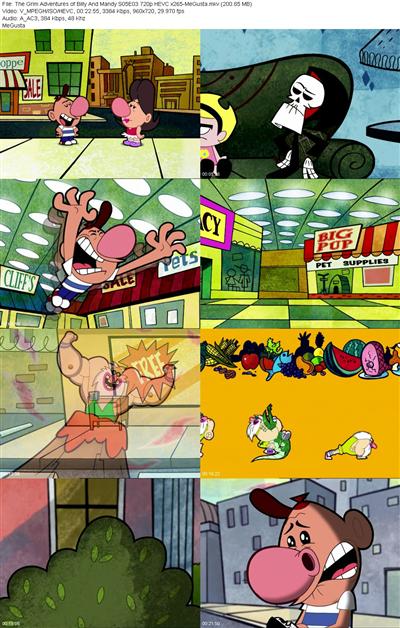The Grim Adventures of Billy And Mandy S05E03 720p HEVC x265 