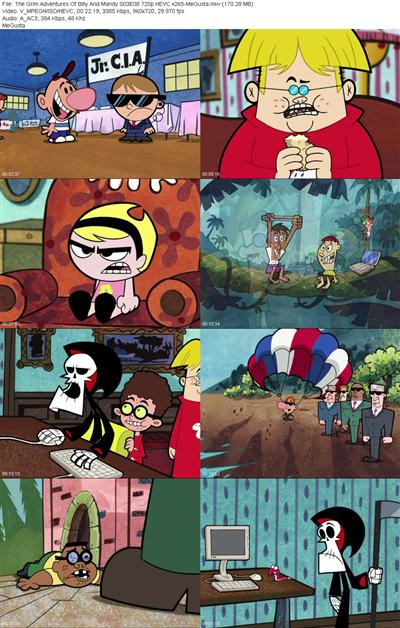 The Grim Adventures Of Billy And Mandy S03E08 720p HEVC x265 