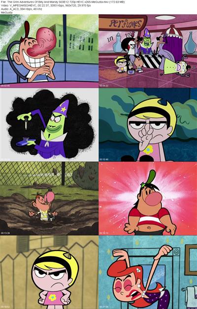 The Grim Adventures Of Billy And Mandy S03E12 720p HEVC x265 