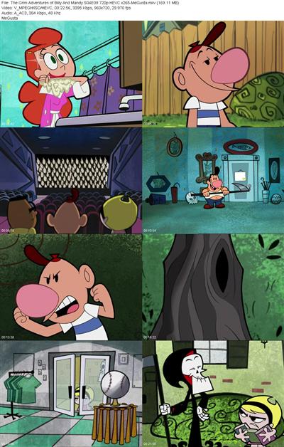 The Grim Adventures of Billy And Mandy S04E09 720p HEVC x265 