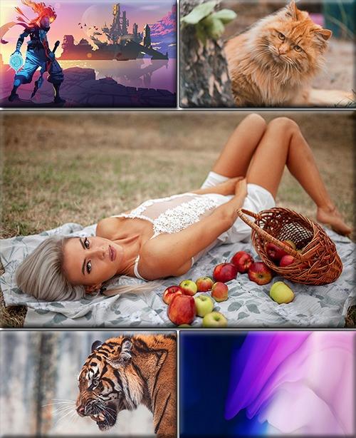 LIFEstyle News MiXture Images. Wallpapers Part (1844)