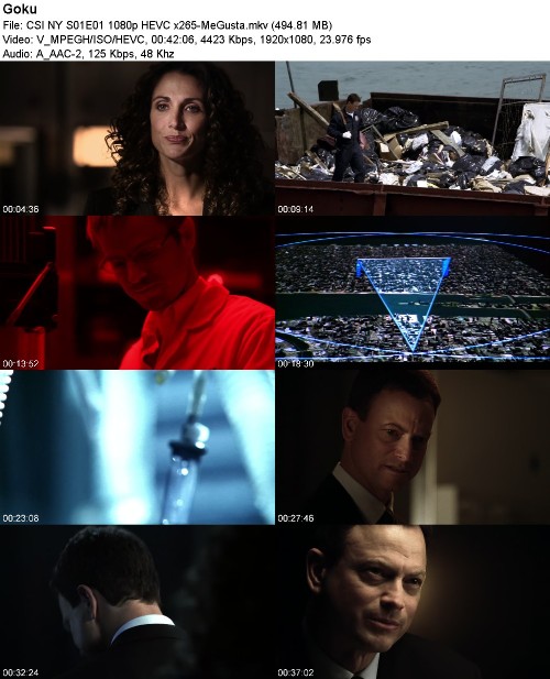 CSI NY S01E01 1080p HEVC x265-MeGusta