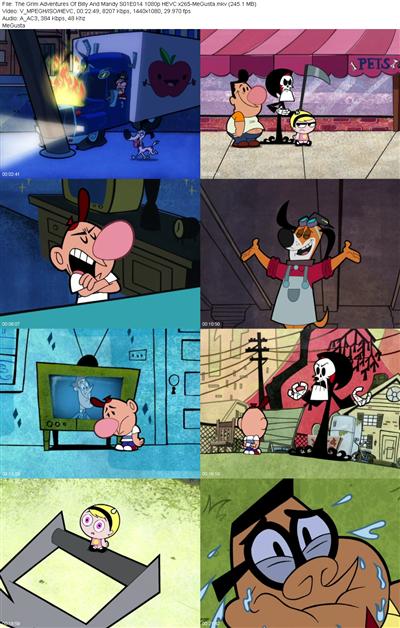 The Grim Adventures Of Billy And Mandy S01E014 1080p HEVC x265 