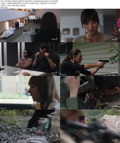 FBI Most Wanted S03E02 720p HEVC x265 