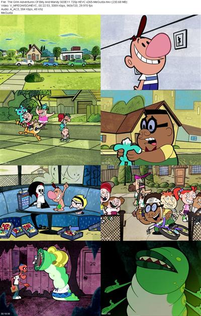 The Grim Adventures Of Billy And Mandy S03E11 720p HEVC x265 