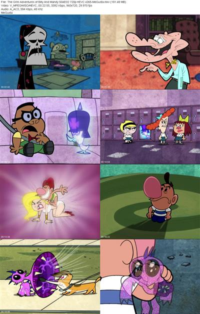 The Grim Adventures of Billy And Mandy S04E02 720p HEVC x265 