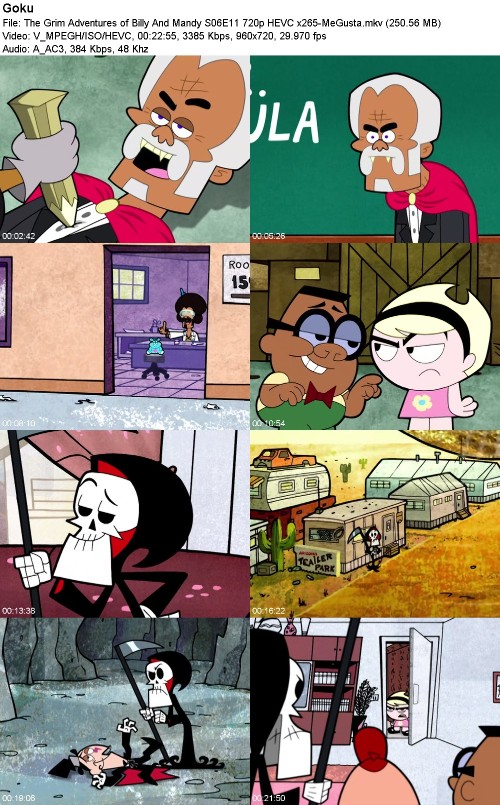 The Grim Adventures of Billy And Mandy S06E11 720p HEVC x265-MeGusta