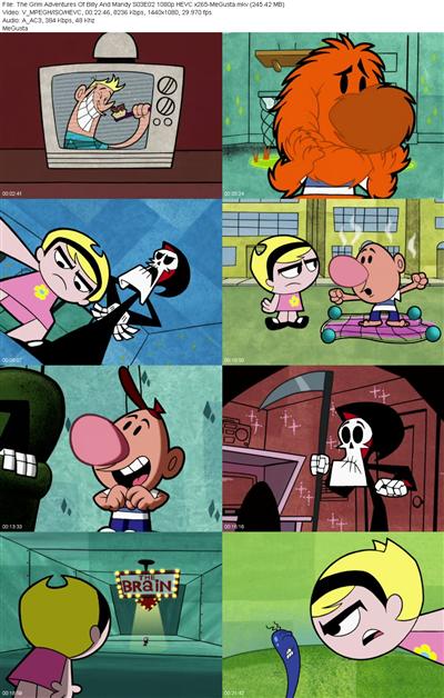 The Grim Adventures Of Billy And Mandy S03E02 1080p HEVC x265 