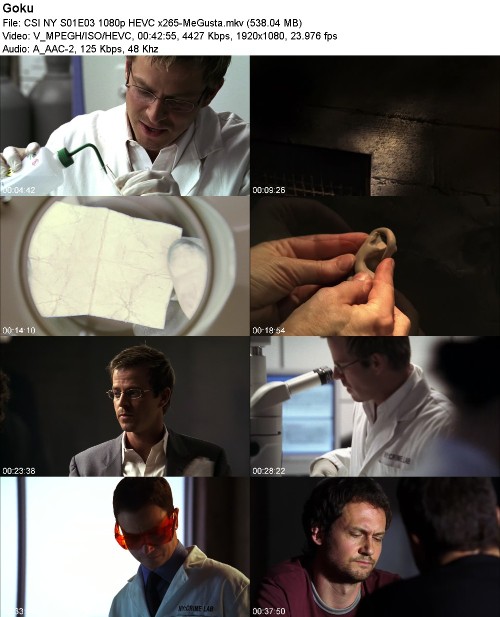 CSI NY S01E03 1080p HEVC x265-MeGusta
