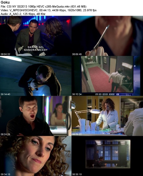 CSI NY S02E13 1080p HEVC x265-MeGusta