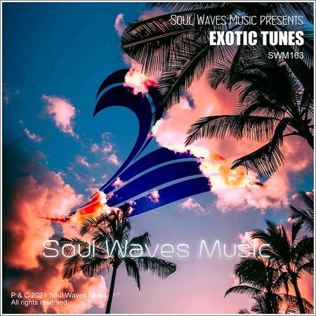 VA - Soul Waves Music pres. Exotic Tunes (2021)