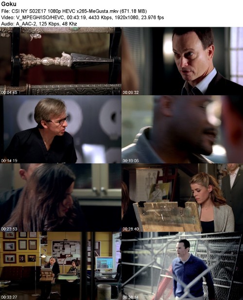 CSI NY S02E17 1080p HEVC x265-MeGusta