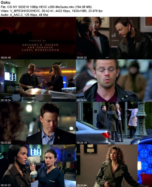 CSI NY S03E16 1080p HEVC x265-MeGusta CSI NY S03E16 1080p HEVC x265-MeGusta
