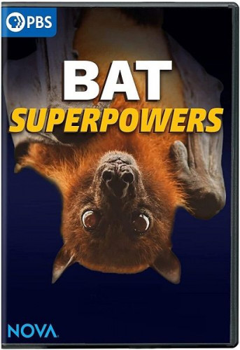 PBS - Nova  Bat Superpowers (2021)